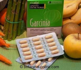 capsules with extract of Garcinia cambogia