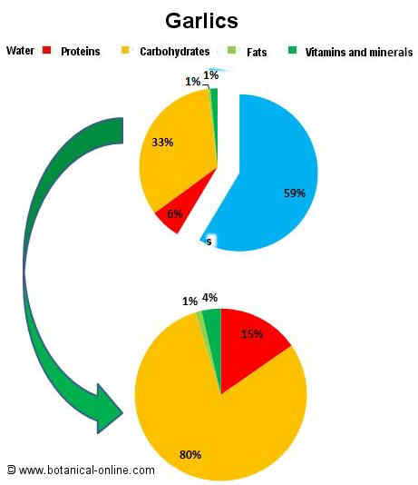Composition of garlics