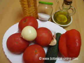 ingredients of gazpacho