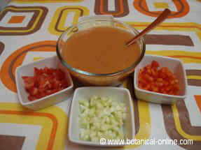 gazpacho dish