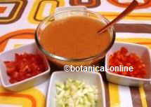 Gazpacho