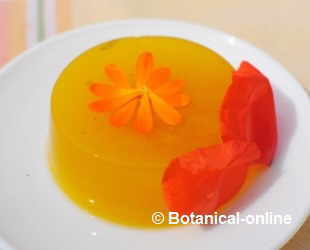 Dandelion jelly with agar agar