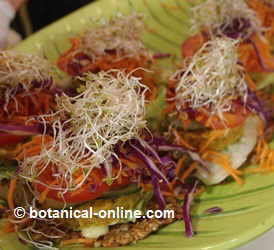 Vegetarian toasts with alfalfa sprouts