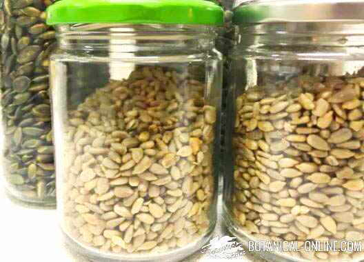 Sunflower seeds contain a lot of isoleucine 