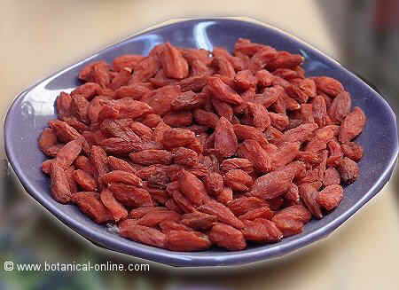 Photo of goji berries