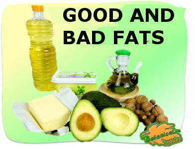 photo of good and bad fats