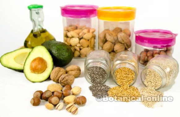 Source of vegetable fats: olive oil, avocado and nuts