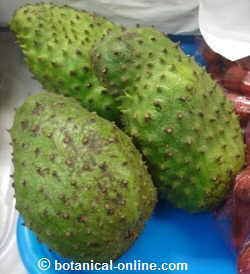 Photo of soursop