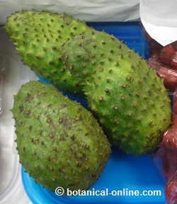 Photography soursop in a market.