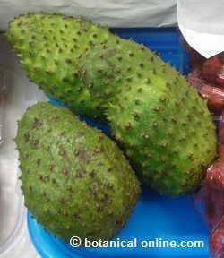 Guanabana or soursop