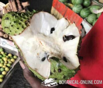 opened guanabana