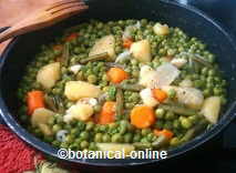 Peas with vegetables