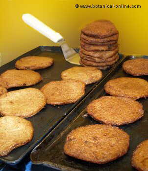 Seitan burgers