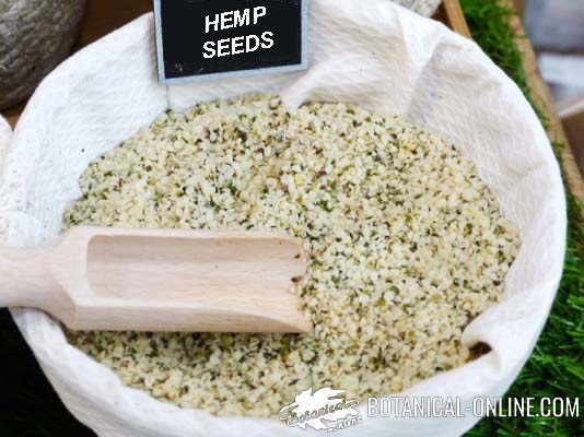 hemp seeds