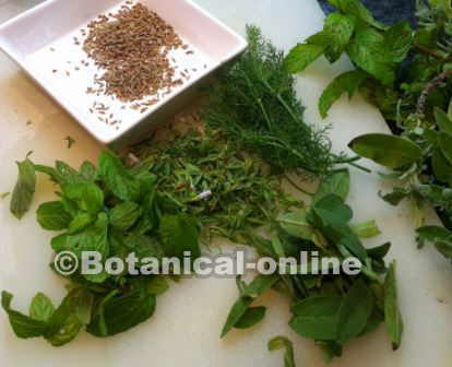 Photo of aromatic herbs