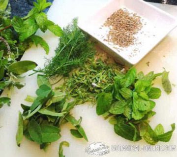 savory aromatic herb