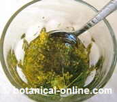 Fennel dressing