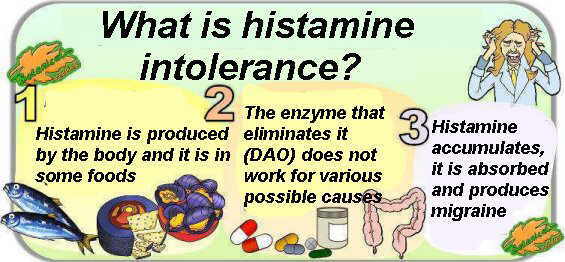 Summary of the intolerance to histamine and migraine due to deficit of the DAO enzyme