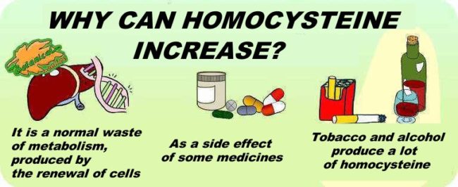 high homocysteine