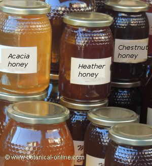 Different types of honey