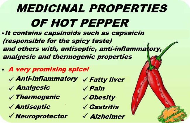 chili pepper properties