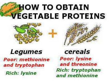 vegetable proteins