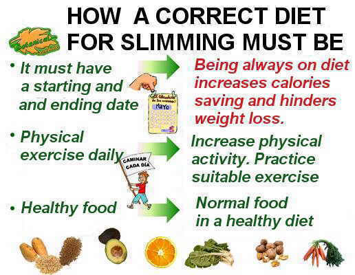 main steps to lose weight