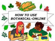 botanical-online quote
