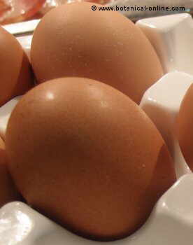 Photo of eggs