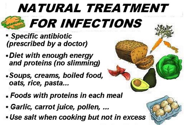 natural treatment infections infectious diseases, antibiotic and diet