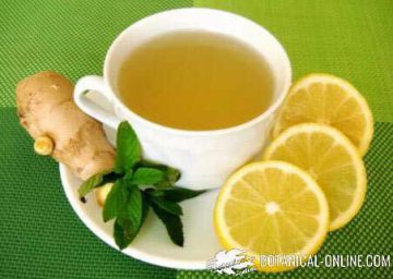 Infusion with ginger lemon and mint