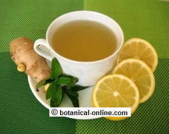 Infusion with ginger, lemon and mint