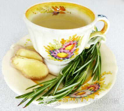 infusionInfusion of rosemary and ginger