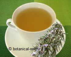 Photo of infusion of rosemary