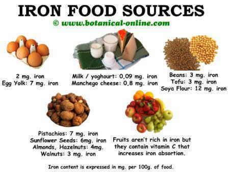 Iron- rich foods