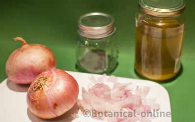 Ingredients for onion syrup 
