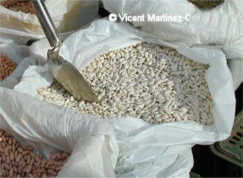 photo of dry beans