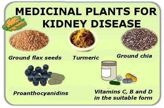 tratamiento de la insuficiencia renal crónica remedios naturales vitaminas omega 3