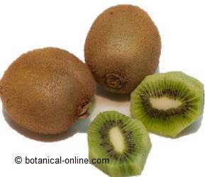 kiwis 