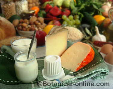 Milk and dairy products: yogurt and cheese