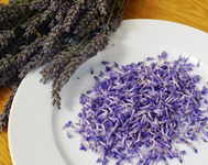 separate lavender flowers