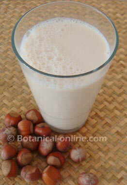 hazelnut milk, with hazelnuts