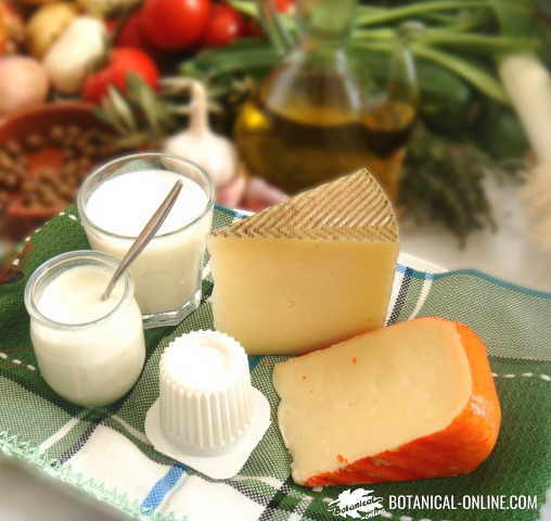 Milk and dairy products (Yogurt and cheese)
