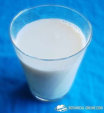 a glass of milk