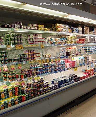 dairy products in a supermarket