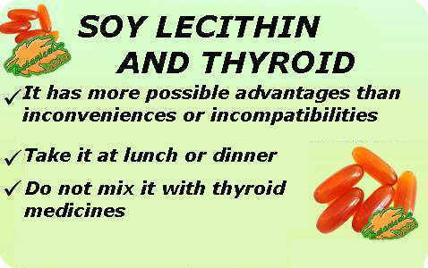 Main indications of soy lecithin for the thyroid