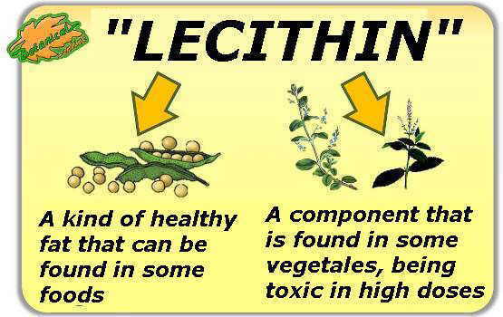 Types of lecithin