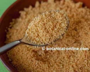 Photo of soy lecithin