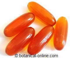 lecithin supplements