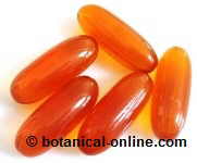 fish oil beads